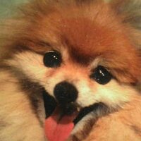 ミタカ (@mi_taka) 's Twitter Profile Photo