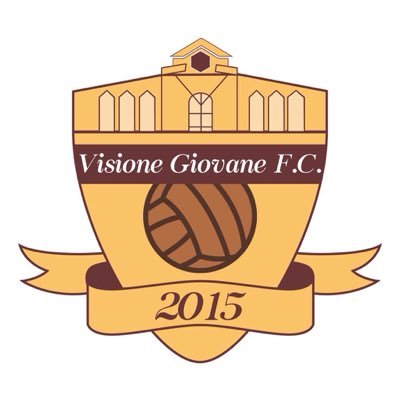 Officiell Twitter för Visione Giovane FC. Fotbollslag som spelar i korpen 2017. #VGFC🔶