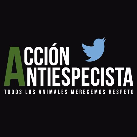 💯 Twitter Oficial 💯  Somos una organización sin fines de lucro dedicada a difundir el respeto a toda especie animal.  #SéVegan 🇵🇪