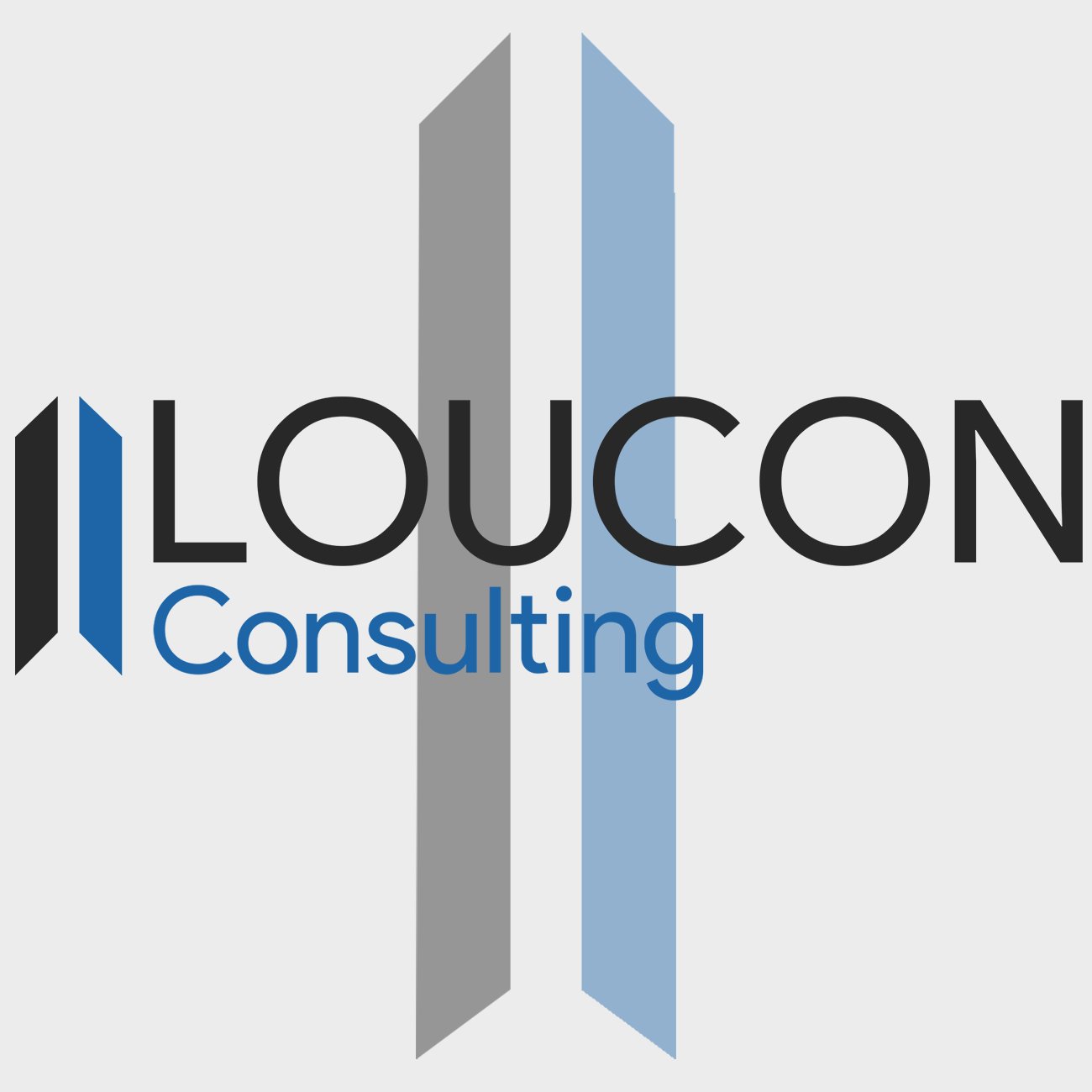 Loucon IT Consulting aims to empower all through technology. We provide services for B2B & B2C.