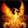 DarkStarPhoenix's profile picture. #Screenwriter, #FantasyAuthor, Husband, Father, Fluent in Sarcasm and a proud Irishman. Gabe Snow Saga. Grateful for Jesus Christ, my Lord and Savior.
