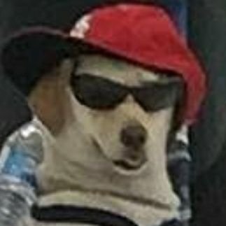 meemlurd's profile picture. yuh