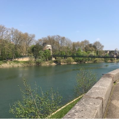 ilaneRT's profile picture. 