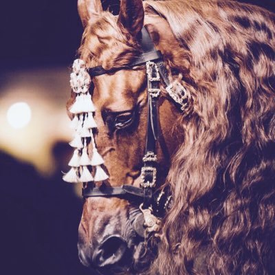 sumahsultan's profile picture. ‏ما ضاقت الدنيا بمن صبروا، فعليك يا ربي توكّلنا..🍂