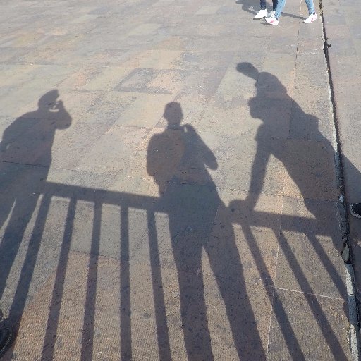 wixepecocha's profile picture. 