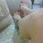 Klb63510117's profile image