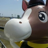 板垣祐介(競馬ブック道営TM) (@itagaki_book) 's Twitter Profile