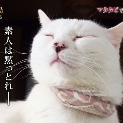 j1LSA1GkKXIEnEh's profile picture. 大学生のパチンカスです。無言フォローすいません！ビンゴや南国物語　島娘が大好きです。あのキュインという音は人をダメにする音
パトランランの歌を聞いてみたい
万枚出してみたい。
俺の歴史にまた1ページ(負け)
フリーズは化物語のみです！