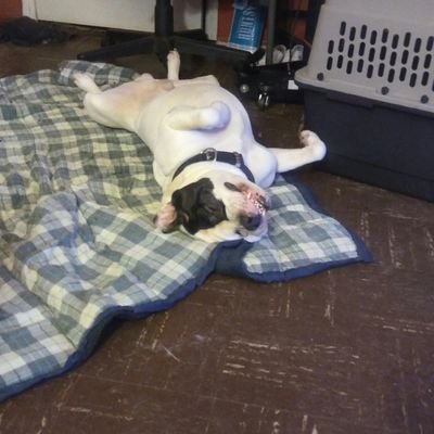 ConawayDamon's profile picture. 