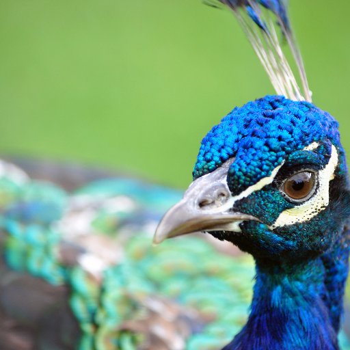 CJXijLCGoFhr5bc's profile picture. 