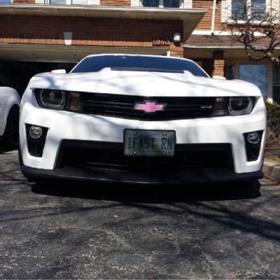 mclean_bev's profile picture. My brain doesn't sleep! I admire over achievers & the courageous. Start every day with "tante que je vive..." (as long as I live) and your life will be full