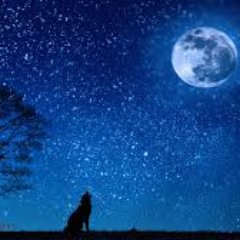 ravi_future Profile