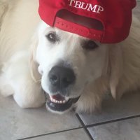 Last Chance America (@bgiampolo) 's Twitter Profile
