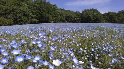 某出版社勤務のビジネスマンです。

好きなことは、競馬🐴(ロマン派)、散歩、カフェ、読書など。
どうぞ、よろしくお願します。