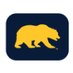 Cal Bear (@calbear153) Twitter profile photo Cal Bear (@calbear153) Twitter profile photo