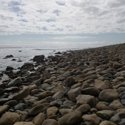 kmoci's profile picture. 