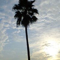 あるがままのミック ⚠️🚫NO DM⚠️ (@mits_i) 's Twitter Profile
