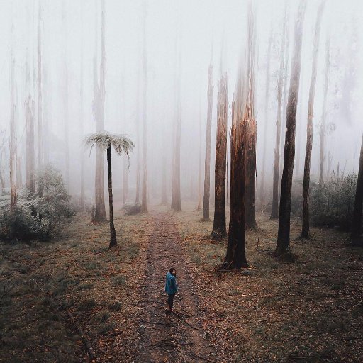 8957771731384fe's profile picture. 