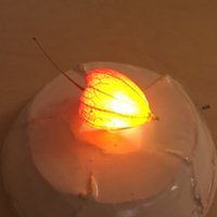 kou* (@k1168m) 's Twitter Profile