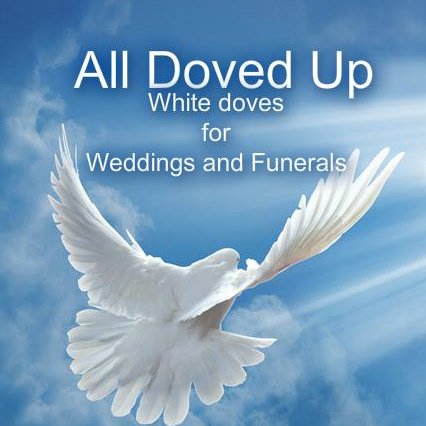 White Dove Release for all occasions