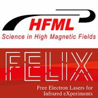 HFML-FELIX (@hfml_felix) 's Twitter Profile