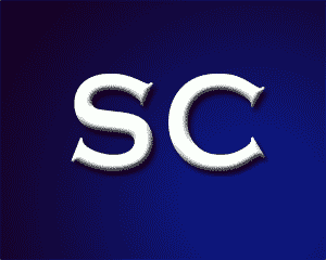 SeniorClients's profile picture. Rick Scott, a real-estate and mortgage professional, created Senior Client Advisors to provide honest, well-reasoned advice to retirees.