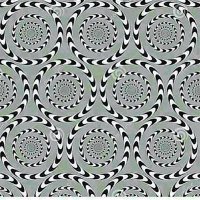 ししおき (@aj11concorde) 's Twitter Profile Photo