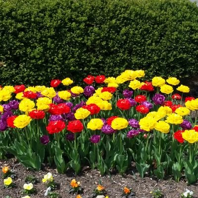 kboone's profile picture. professor, mom