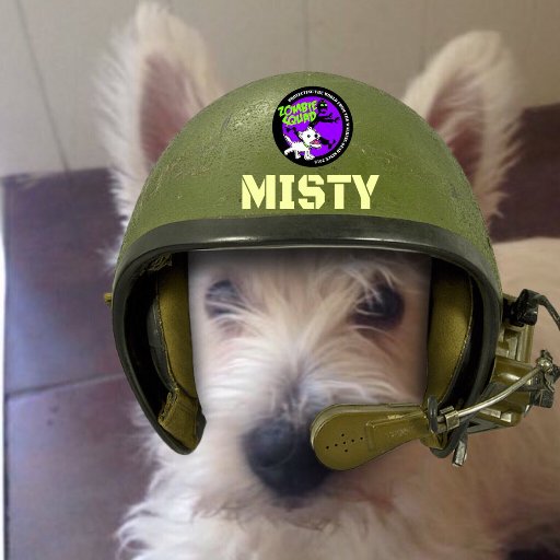 I iz a 3 year old Westie with full blown Westitude! Proud member of da #Zombiesquad and my brofur Merci (pronounced Murky) who is 5 months old.