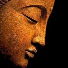 Buddhas Teachings to purify our mind for peace, harmony and wellbeing.