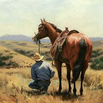 Cowboy Horses