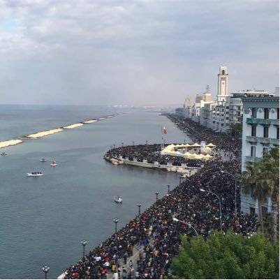 MicGiank's profile picture. 