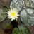mindam0518's profile image