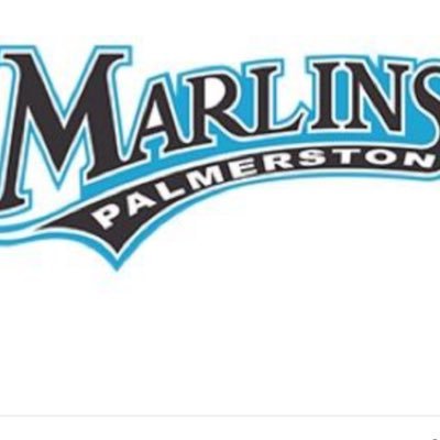 2018 Intermediate Palmerston MarlinsⓂ️ just a bunch of girls making a living out of the game they love⚾️