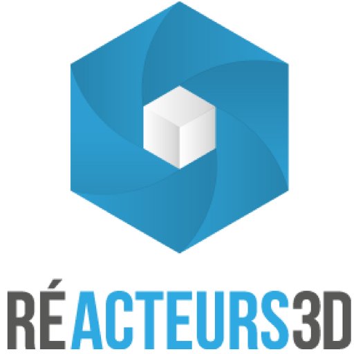 RÉACTEURS 3D permet de développer les usages en impression 3D auprès entreprises particuliers et demandeurs d'emplois. #formations3D #workshops #impression3D