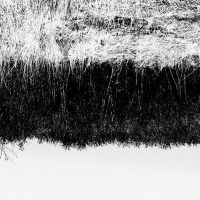 KriisTarmo's profile picture. 