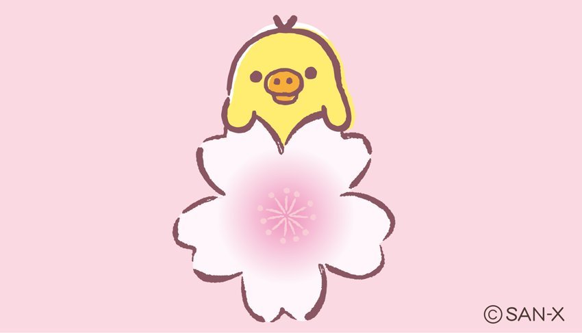 __sakura_sakura's profile picture. 