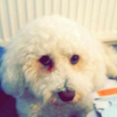 Dmead01's profile picture. YouTube Gaming Comedy Football NFL Golf Boxing Rugby Premier League