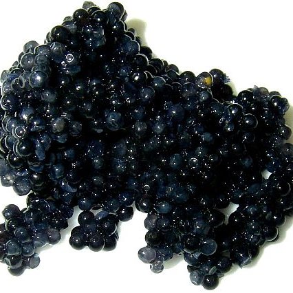 Caviar, Ice, Vodka!  #specialoccasions #luxuryfood Restaurants, suppliers, recipes & general info #foodies DM for a #caviar retweet