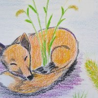 Setaria Project (@foxymillet) 's Twitter Profile