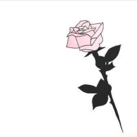 ناديه محمد  المالكي (@nonvxn) 's Twitter Profile
