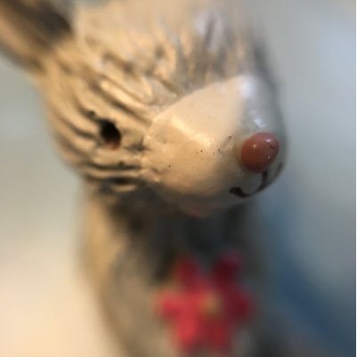 miromaric2011's profile picture. 2010年〜東方神起の虜。2002年〜中川晃教くんのファン。とにかく声フェチでダンス好き。SJ・EXO・NORAZOも好き。そして動物大好き！特に犬（特にイングリッュコッカー）。山に、林に、秋の高い空に、ミュージカルに、タイ料理・韓国料理に、小さな優しさに・・よく心を奪われます。無言フォローすみません。