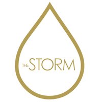 The Storm(@thestormjewelry) 's Twitter Profile Photo