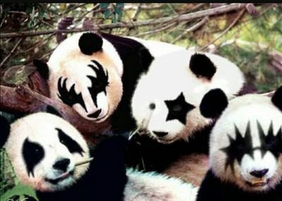 olfabe's profile picture. ⚽🏟️🐖📈📉 for free shares on Trading 212 https://t.co/e7b6GLeMxn