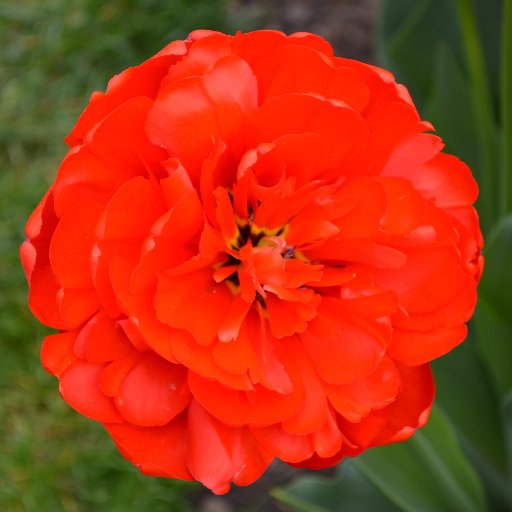 LisaJayZee's profile picture. 