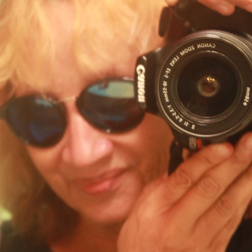 SandraLuzGalle4's profile picture. 