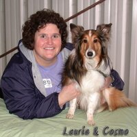 Laurie Newton (@ictnewton) 's Twitter Profile