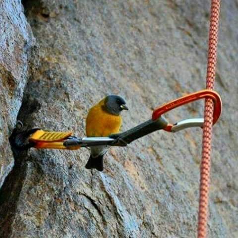 MountKenyaTreks's profile picture. 