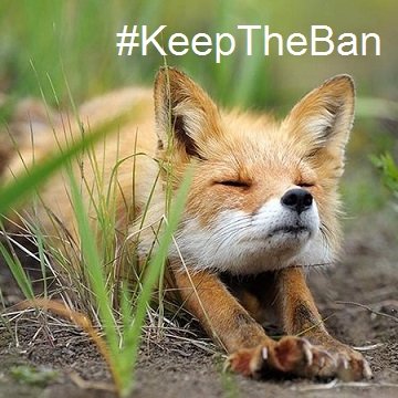 dreamer and keeper of hope #keeptheban