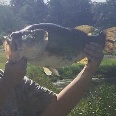 I love to fish 